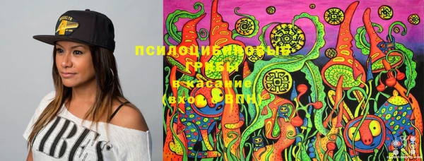 трава Баксан