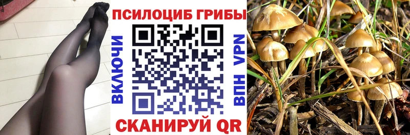 Галлюциногенные грибы Cubensis Жердевка