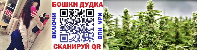 Марихуана сатива Жердевка